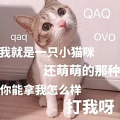 近期热门无水印表情包【2017.9.25】
欢迎评论区斗图，喜欢的点个赞 ​​​​