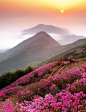 韩国昌原清州山。(700×910)