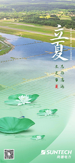 懒懒的蚊子采集到节日海报