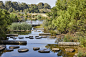 One Sydney Park Designed by Silvester Fuller