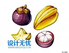 山竹杨桃 手绘水果美食手绘插画JPG图片设计素材