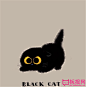 卡通黑猫图片，卡通小黑猫