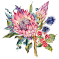底纹玫瑰水彩花卉花朵月季化妆品包装JPG图片设计格式素材 (6)
