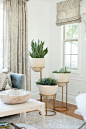 Obsessed with this plant arrangement for that empty corner in your living room!: 