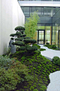 kokeniwa : Japanische Gartengestaltung