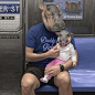 Animal-Human Hybrids Spotted on New York Subway in Surreal Paintings by Matthew Grabelsky : Los Angeles-based artist Matthew Grabelsky (previously) is back with a new collection of oil paintings of people with animal heads casually navigating the New York