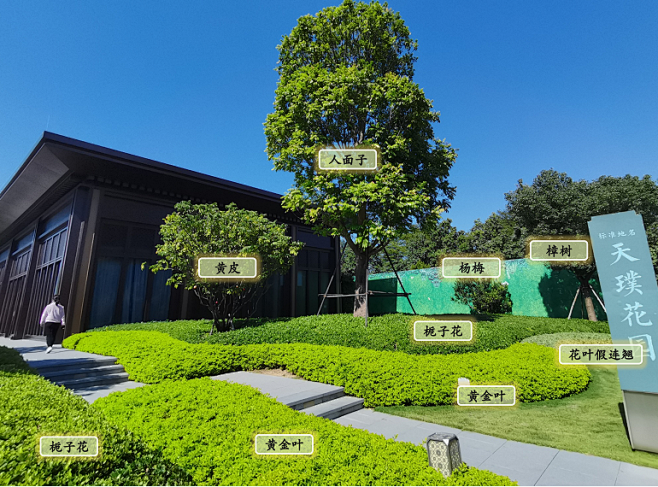地被造型分割