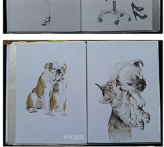 张观政插画采集到我的速写本