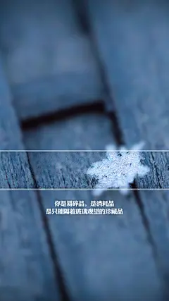 文字来自微博东陵治愈   文字控手机壁纸-3