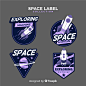Space badge collection