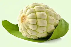 热带释迦果水果摄影图