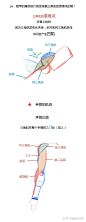 【春哥课堂】手臂肌肉到底怎么画？（理解+练习） : 本期关键词：手臂运动规律、生长点、夹子、圆柱......（春哥课堂是一组条漫绘画教程，为大家的人体绘画学习提供简单的参考。） 上节课躯干的链接戳这里：人体躯干肌肉到底怎么画？（比例+穿插关系） - 画画的春哥…