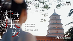 包子小团团采集到价值系列海报