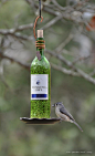 DIY Wine Bottle Bird-Feeders