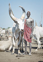 MUNDARI on Behance