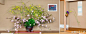 #花艺庭院# 组合花艺 - 主体空间的大型花艺作品完成后，可将剩余花枝作成另外的小品，置于室内空间的次要部分，既做到惜花爱花、又可使插花主题鲜明，整体协调。