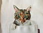 关于很萌很萌的口袋猫咪衬衫——Hiroko Kubota 的 GO! GO! 5