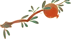 中国风细线渐变噪点秋季人物插画-石榴