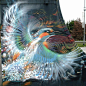 Street Art Bird