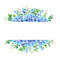 Horizontal botanical vector design banner.