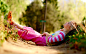 Download Wallpapers, Download 2560x1600 nature photography kids children summer sunlight relaxing striped clothing 2560x1600 wallpaper High Resolution Wallpaper,Hi Res Wallpaper,High Definition Wallpapers