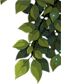 【青梅煮酒】【原创】花开的那年时光永恒——素材贴_看图_手绘古装女子吧_百度贴吧