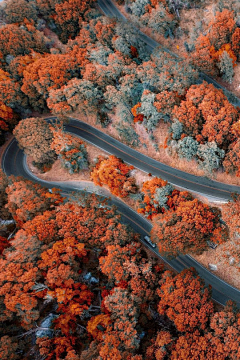 是小婉啊采集到风景 landscape