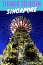 Supertrees at Gardens by the Bay - Things to Do in Singapore - The Trusted Traveller