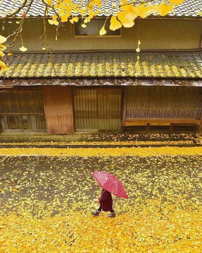 日本摄影师 Noriyuki Kajiw...