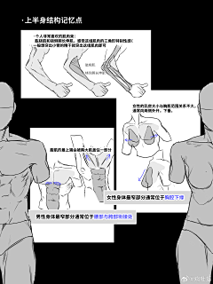 fwagjbfd采集到鸡牡蛎