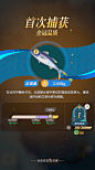 垂钓等级提升