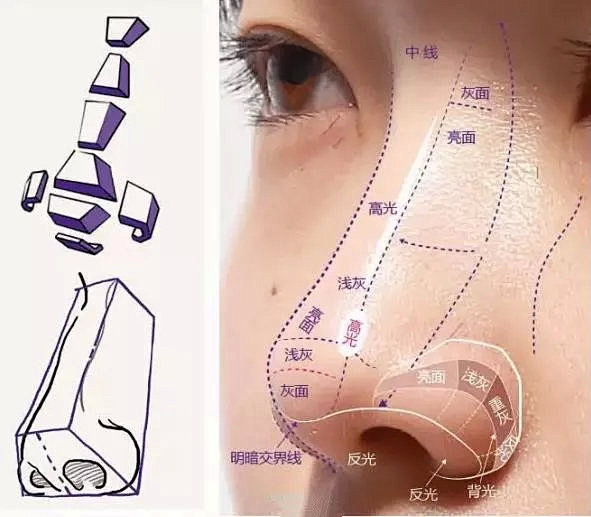 素描鼻子的画法，看这一篇就够了！（必须永...