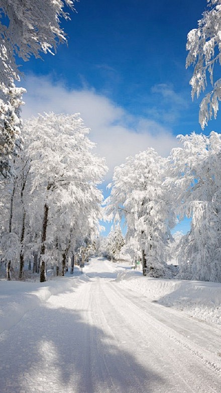 下雪天