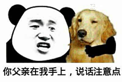 arnesnhgqoehqhoq采集到好东西