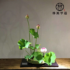 郑福星茶业采集到林派花道