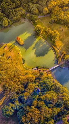 林小楼采集到美景