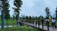 滨水景观 | 河水与绿带相得益彰的临澧道水河柳林公园景观设计_城市 : 设计团队追溯河流的历史，结合现状，赋予城市活力和精神重生，再一次重塑过去。座凳上雕刻着临澧城市名片，结合音乐喷泉和灯光，增强景观的认同感。 设计依托原始生态基础，打造能抵御暴雨的隐形防洪堤防和景观…