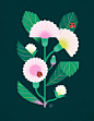 flower Flowers geometry graphic ILLUSTRATION  spring