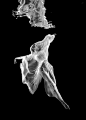 Howard Schatz and Beverly Ornstein 1990-2013
灵动的旋律