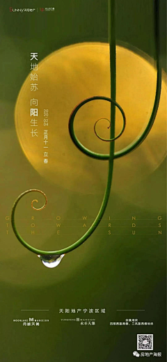 房地产海报采集到【立春】地产海报