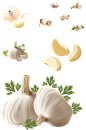 佐料大蒜.png