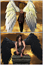 Seraph Wings 3D Models 3D Figure Assets prae : These Seraph or angel wings come with 9 high resolution texture maps at 3000 x 3000 and 20 mat pose files. They will conform to Victoria 4, Aiko 4, Michael 4 and Hiro 4.