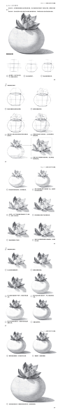 本案例摘自人民邮电出版社出版的《素描静物基础教程》http://product.dangdang.com/25079411.html