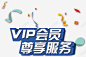 vip尊享服务图标 页面网页 平面电商 创意素材