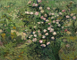 玫瑰 荷兰 梵高 油画 日本，国立西洋美术馆 1889

在阿尔勒期间，梵高创作了非常多的作品，其中就有很多花卉等静物，其中最具代表性的当属《向日葵》系列，另外像鸢尾花、菊花和本幅的玫瑰也都有着很多形式的作品。这幅《玫瑰》色彩丰富，层次分明，玫瑰花点缀在草丛间，由近及远，且大多居于画幅居中偏右黄金分割的位置，整幅画也是经过厚涂而成，传统而不失新意，此时的梵高应该处在愉悦的绘画技艺日渐精进的阶段，情绪稳定，心平气和，得心应手