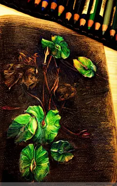 #黑金的王国# #素描# #彩铅# #手绘# #插画# #手帐# #艺术# #花卉#