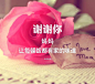 感恩节要来了，感谢身边人，谢谢你们。