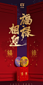 大益普洱茶 福禄双喜礼盒 生熟普洱茶组合357g*2饼 礼盒装-tmall.com天猫