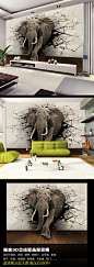3D壁画大象壁画电视墙背景墙