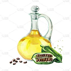 新鲜的芝麻豆荚和黑色的种子和一瓶油。水彩手绘插图孤立的白色背景